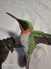 Vintage   Ruby Throated Hummingbird    Hand Carved   Wooden Figure   Painted