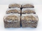 6 Pack Of 1 Lb  Sterilized Rye Berries Mushroom Substrate Bags For Grain Spawn