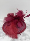 Fascinator Mesh Hat With Flower And Feathers Church Wedding Kentucky Derby