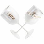 Moet   Chandon White Ice Imperial Acrylic Champagne Glasses X 2
