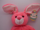 Salvino s Bamm Bunnies - 8 Inch Beanbag Plush - J d  Drew  8 - 1999