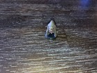 Dretch D d Miniature Dragoneye Mini Dungeons Dragons Pathfinder
