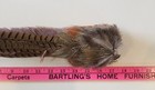 Pheasant Tail Feathers Rooster Butt End Ringneck 17 Inch Straight Hat Decoration