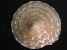  pearled  Beauty   astraea Undosa 116 2mm 4 1 2  turban Seashell