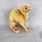 Steiff Mohair Camel Vintage No Tags 5 5 