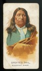 1888 N2 American Indian Chiefs  british  Vg   bb-7532  