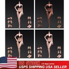 Ant 1 6 Flexible Medium Breast 12 Inch Female Seamless Action Figure Body Dolls