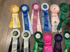 Horse Show Ribbons Awards Equestrian Events Rosettes Pacific Nw Lot Of 23