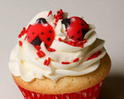 Oasis Supply Set Of 24 Edible Sugar Ladybug Toppers For Cakes Or Cupcakes