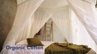 Bambulah Wahyu Bed Canopy mosquito Net 100  Cotton     Fits Queen Bed  or Smaller 