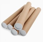 Custom Bj  rk Poster  Bjork 1993 Debut Album Vintage Poster