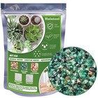4lb Green Aquarium Gravel For Fish Tank 0 35 - 0 6  Natural Landscaping Pebbl   