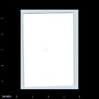 Old Vintage Photo Men Wearing Glasses And Suit