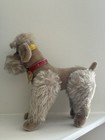 Vintage 1950s Steiff Mohair All Id Snobby Poodle Grey Jointed Limbs Collar 10 