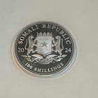 Somalia 2024 African Wildlife Leopard 1 Oz Silver Coin 100 Shillings  999 Fine