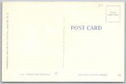 Vtg Linen Postcard Post Card Co Dive Fun Asheville  Nc 1940s