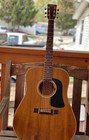 Rare Washburn Lawsuit Model D15 M  Japan 1980 Acoustic Guitar With Case