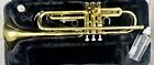 Yamaha Ytr-200ad Advantage Bb Trumpet With Case Mouthpiece