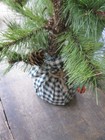 Antique Wood Box Red   Green Milk Paint S  Claus Tree Farm    Christmas Tree