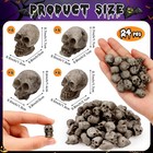 24 Pcs Mini Skull Heads  Miniature Skeleton Heads Figurines  Tiny Resin Skulls F