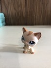 2006 Littlest Pet Shop Caramel Swirl Tan Cat Blue Eyes Lps  1024 Authentic Rare