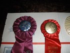 4 Vintage  Horse Show Early 1966 1968 1971 1972  Horse Show Ribbons