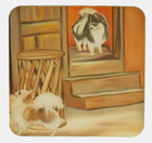 Chihuahua Led Nightlight Gifts With Light Sensitive Auto On   Off