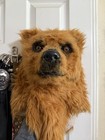 Bear Mask Adult Halloween Costume Overhead Moving Mouth Realistic Animal Head
