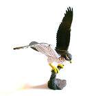 Rare Kaiyodo Furuta Northern Goshawk Secret Sp Bird Figure 