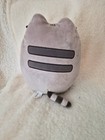 Pusheen Holding Cookie Snackable