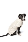 Natural Cable Knit Dog Sweater Chilly Dog Hand Knit Wool  Xxs-xxxl Puppy Pet Nwt
