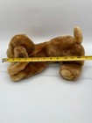 Animal Alley Darby Hound Puppy Dog Brown Tan Toys R Us Plush Stuffed 2000 13   