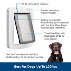 Petsafe - Smartdoor Connected Pet Door  Dog And Cat  Selective Entry And Exit   