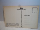 Vintage Arizona Uncirculated Postcard Saguaro Cactus