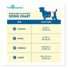 Male Dog Wraps  Disposable Dog Diapers   Belly Bands For Large Dogs  32 Count 
