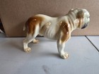 Vtg Goebel Porcelain Bulldog  Ch 627 1970