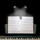 Music Stand Light  1 2 4 10 Pack Clip On Led Book Lights  Usb And Aaa Battery Op