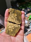 Rare Top Quality Brecciated Jasper-agate Rough   End Cut Slab  from Utah  270 G