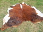 Make Offer    Large Tri-color Brindle Brown Cowhide Rug Natural Cow Hide Skin Rt