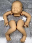 19in Reborn Doll Kit Max Limited Edition Lifelike Soft Touch Fresh Color Baby