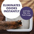 Arm   Hammer Forever Fresh Cat Litter Deodorizer  Pet-friendly Lavender Scent  4