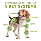 Purina One 5-in-1 Whole Body Health Chicken Flavor Dry Dog Food - 16 5lbs
