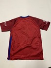 Paris Saint Germain Soccer Jersey Mens Large Nike Dri-fit Red