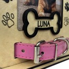 3d Personalized Pet Memorial Portrait Frame With Collar  Dog Photo Frame  Memory