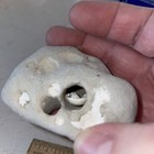 Hag Stone Natural Holey Beach Rock Dream Witch Amulet Stone Specimen