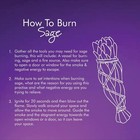 California White Sage 7  Smudge Sticks For Spiritual Healing   Cleansing 5 Pack