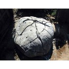 Dexpan Expansive Demolition Grout 44-lb Box Type1 Concreterock Breaking Removal