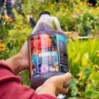 Microbe Lift Pl 1 Gallon Koi Pond Beneficial Bacteria Clarifier 2 X 1 Gal 