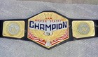 Wwe United States Championship Wrestling Us Replica Title Belt Adult 6mm Diecast