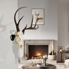 Adjustable European Skull Mount Hanger Deer Wall Bracket Heavy Duty Steel Black